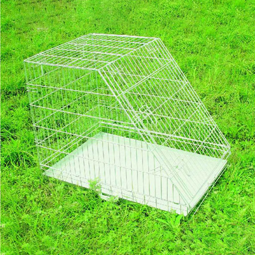 news-Durable steel dog cage company for training pet-Yuanyang-img
